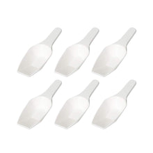 Load image into Gallery viewer, Labvida 6pcs of Measuring Spoons, Cap.100ml with Length 200mm, PP Material, Flat Bottom, LVJ003