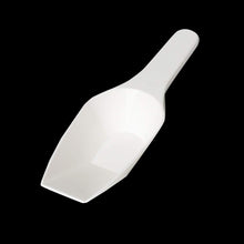 Load image into Gallery viewer, Labvida 6pcs of Measuring Spoons, Cap.100ml with Length 200mm, PP Material, Flat Bottom, LVJ003