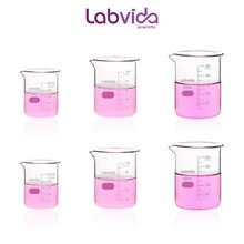 Load image into Gallery viewer, Labvida 6pcs of Glass Beakers, Each 2pcs of 3 Sizes 50ml 100ml 250ml, 3.3 Borosilicate with Printed Graduation, LVA018