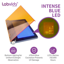 Load image into Gallery viewer, Labvida Blue LED Light Transilluminator 470nm Blue Light Gel Cutter for Gel Electrophoresis Visualization and Gel Cutting, LVBLT001
