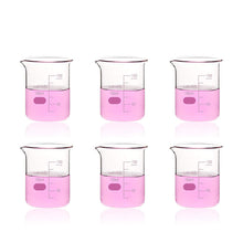 Load image into Gallery viewer, Labvida 6pcs of Griffin Low Form Glass Beakers, Vol.150ml, 3.3 Borosilicate with Printed Graduation, LVA006
