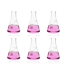 Load image into Gallery viewer, Labvida 6pcs of Narrow Mouth Glass Erlenmeyer Flasks, Vol.150ml, 3.3 Borocilicate with Printed Graduation, LVC002
